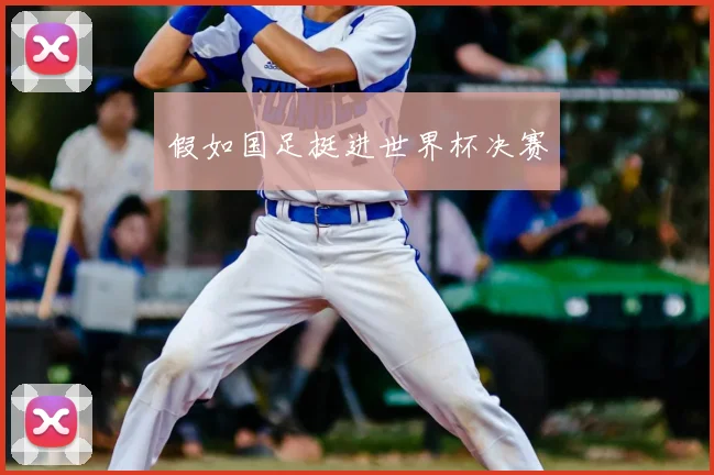 假如国足挺进世界杯决赛