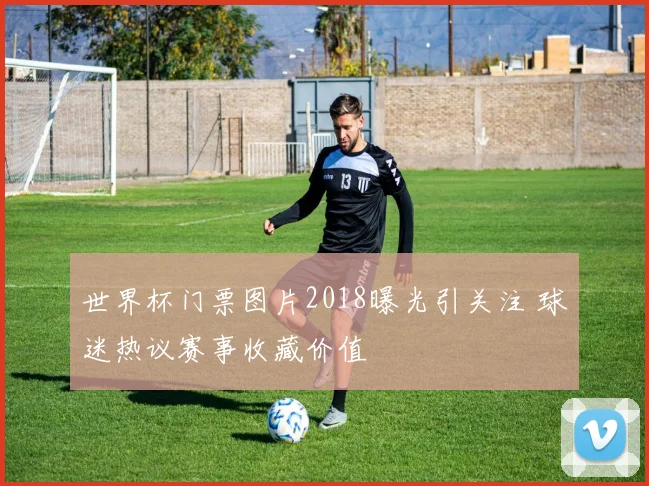 世界杯门票图片2018曝光引关注 球迷热议赛事收藏价值